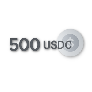 500 USDC BSC