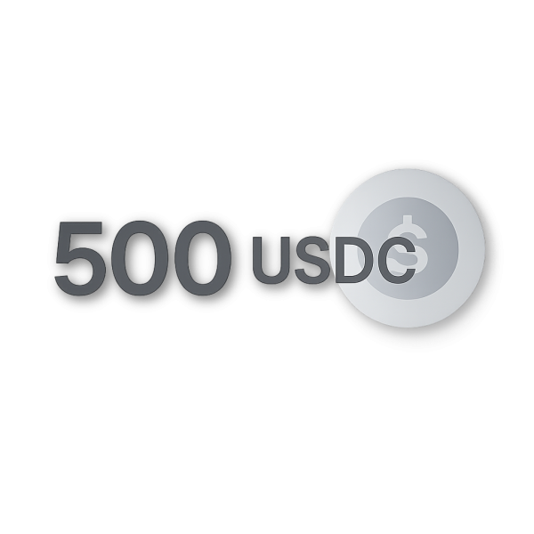 500 USDC BSC