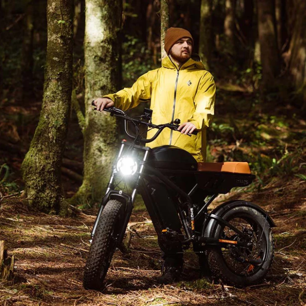 Freego F3 Pro Electric Bike - Image 3