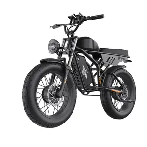 Freego F3 Pro Electric Bike